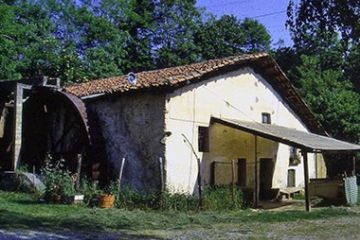 Sfoglia la galleria