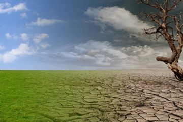 SCADENZA POSTICIPATA. Trasmissione al Comune dei modelli per le imprese agricole che hanno subito danni a causa della siccit&#224; eccezionale