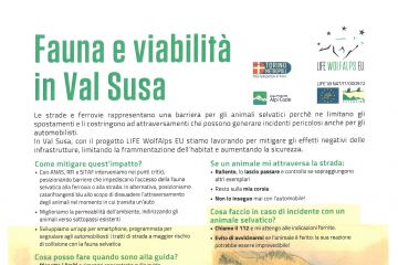 Fauna e viabilit&#224; in Val Susa: buone prassi