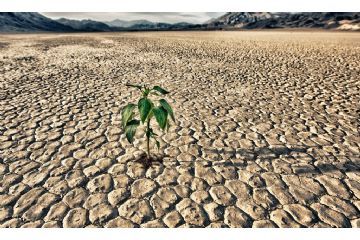 Segnalazione danni da siccit&#224; 2023